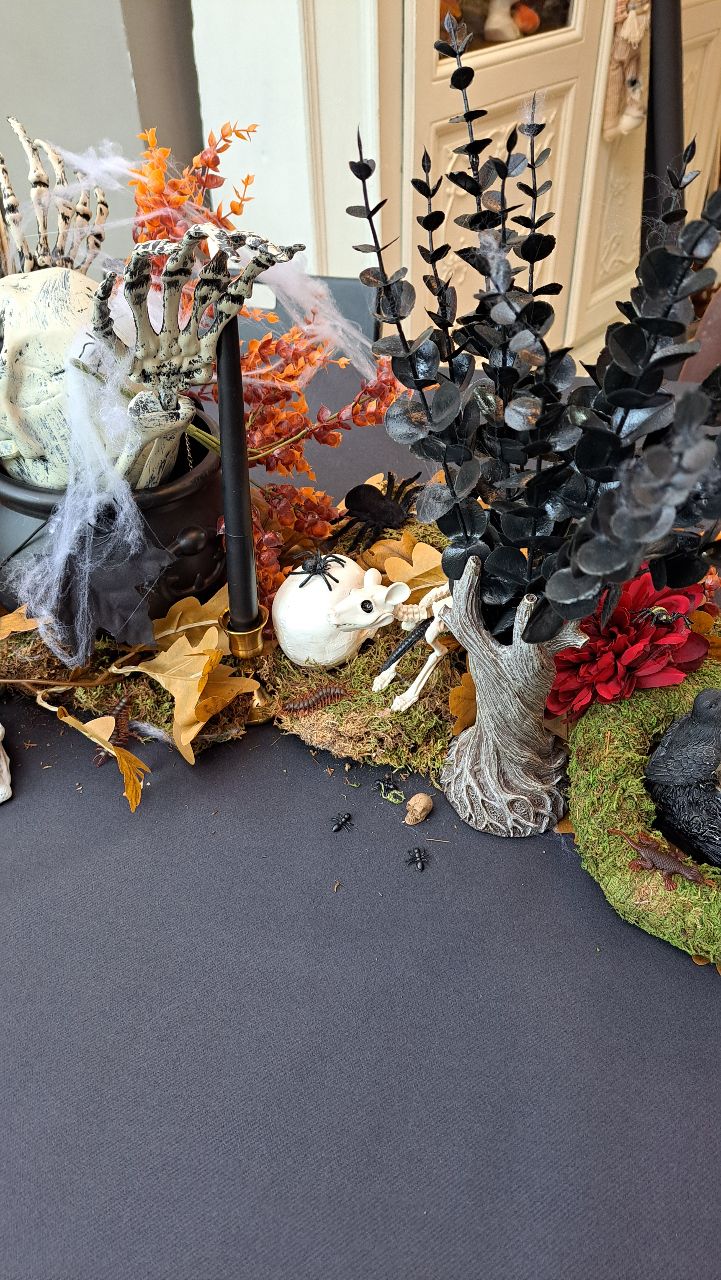 Halloween mystère 2024